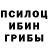 Галлюциногенные грибы Cubensis Alex1632 Kop