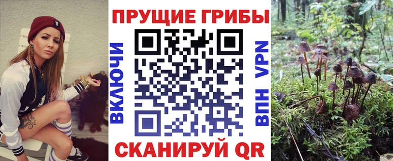 Псилоцибиновые грибы прущие грибы  Мышкин 
